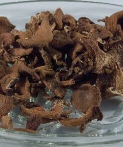 Dried Candy Caps- Wild USA