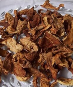 Dried Chanterelle Mushrooms Wild USA