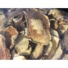 Dried Domestic Porcini Mushrooms Wild USA