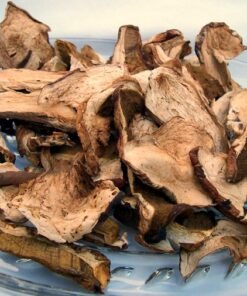 Dried European Porcini Mushrooms-Wild