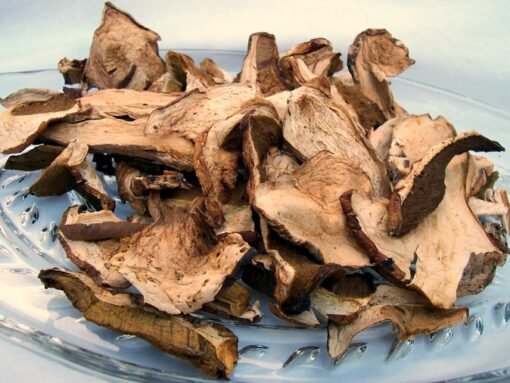 Dried European Porcini Mushrooms-Wild