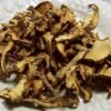 Dried Hedgehogs Mushrooms Wild USA