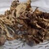 Dried Maitake Mushrooms