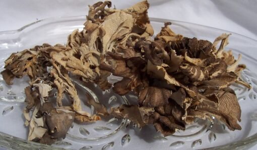 Dried Maitake Mushrooms