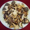 Dried Mushroom Mix Wild USA