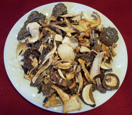 Dried Mushroom Mix Wild USA