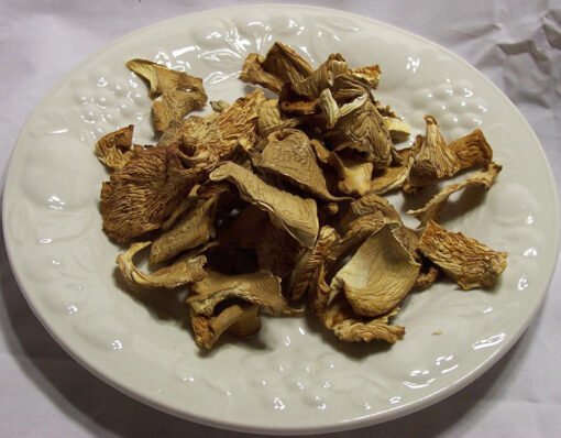 Dried oyster mushrooms