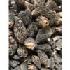 Dried Wild Greys-Green Morel Mushrooms from the USA, Wild Crafted