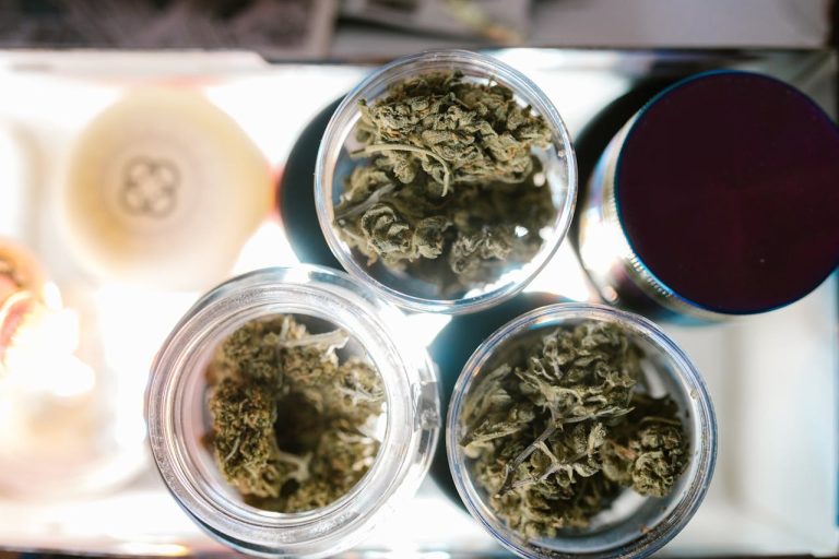 Three open glass jars of cannabis flower buds viewed from above, with a purple grinder nearby on a lit surface.